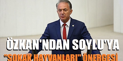 Özkan'dan Soylu'ya 