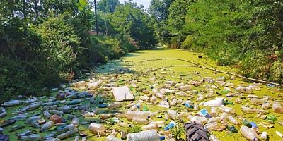 Pes dedirten görüntüler: Çevre kirliliği faciası