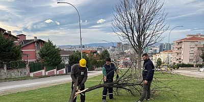 Şiddetli Lodosun Devirdiği Ağaçlara Osmangazi Belediyesi’nden Anında Müdahale 