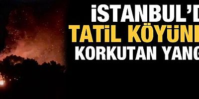 Şile'de tatil köyünde ve ormanlık alanda yangın