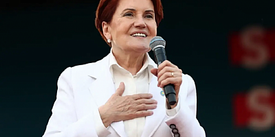 Siyasetten çekilen Meral Akşener sessizliğini bozdu