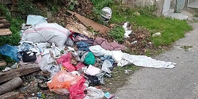 Sokağımızın acil ve kalıcı temizliğe ihtiyacı var!  