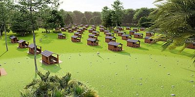 Sokak hayvanları için oluşturulan yaşam alanları artırılmalı