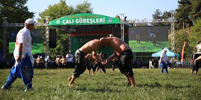 Tarihi Çalı Güreşleri’nde 800 pehlivan er meydanına çıkıyor