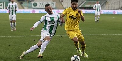 Timsah'a evinde şok!