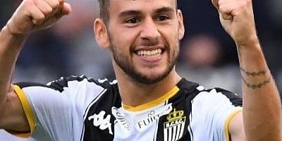 Timsah, Bruno ile görüşüyor