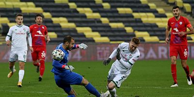 Timsah seriyi evinde bozdu!  