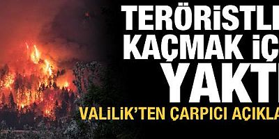 Tunceli Valiliği: Teröristler kaçmak için yangın çıkardı
