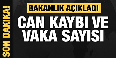 Türkiye'de son 24 saatte 50.678 yeni vaka!