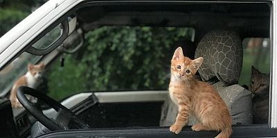 Türkiye’nin en yaratıcı 100 çocuğunun  hikâye ve fotoğrafları kitaba basıldı