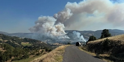 Türkiye orman yangınlarıyla mücadele ediyor