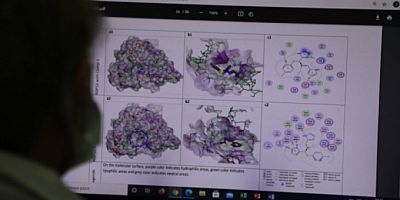 Virüs tedavisinde umutlandıran gelişme