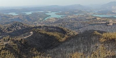 Yangınlarla mücadelede 10'uncu gün! İşte son durum...