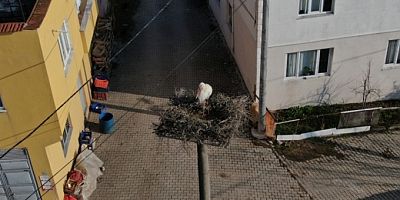 Yaren Leylek veda etti! Ömrü 11'inci buluşmaya yetecek mi?