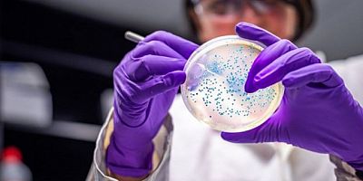 Yeni araştırma: ABD'de 2 varyant tespit edildi