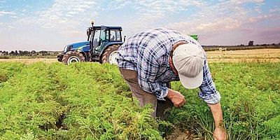 Yeni yönetmelikle çiftçiler izin almadan üretim yapamayacak