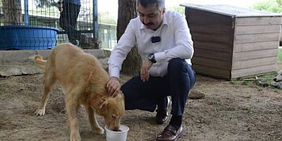 Yıldırım Belediyesi atık gıdaları mamaya dönüştürüyor