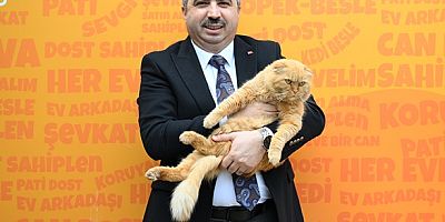 Yıldırım Belediyesi’nden sıcak yuva