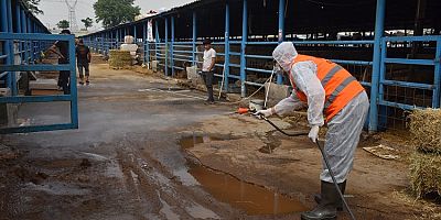 Yıldırım’da Kurban Satış Yerleri İlaçlanıyor