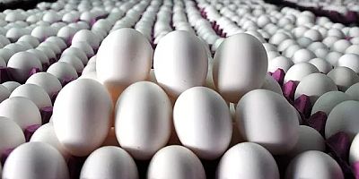 Yumurta fiyatları yüzde 400 zamlandı