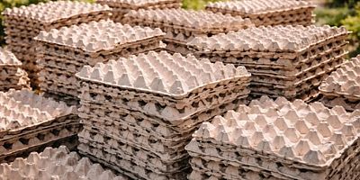 Yumurta kartonları kıymetlendi: İşte nedeni