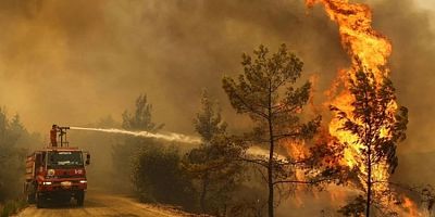 Yunanistan: Ülkemizdeki yangınlara rağmen Türkiye'ye yardım teklifimiz halen geçerli