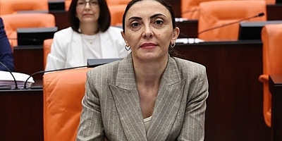 “Yurt Dışındaki Vatandaşlar Ehliyet Mağduriyeti Yaşıyor”