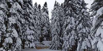 Zirvede kar bereketi! 75 santimetreyi buldu