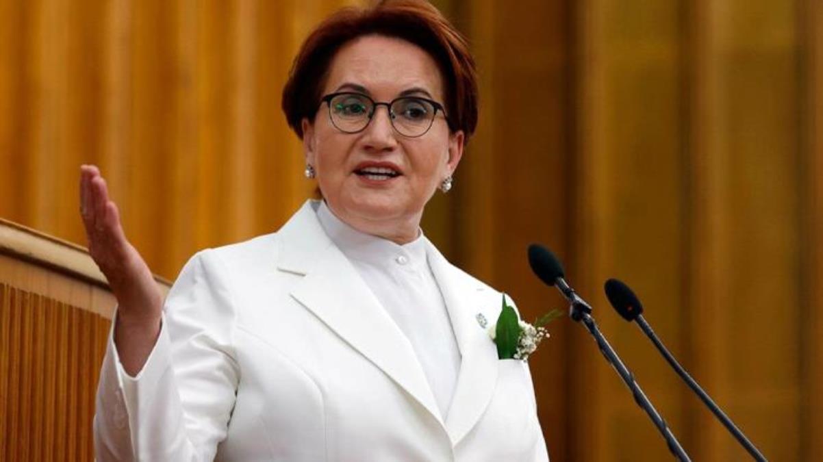 Taburcu edilen Akşener'den ilk açıklama: Güneş yerinde, her şey yolunda