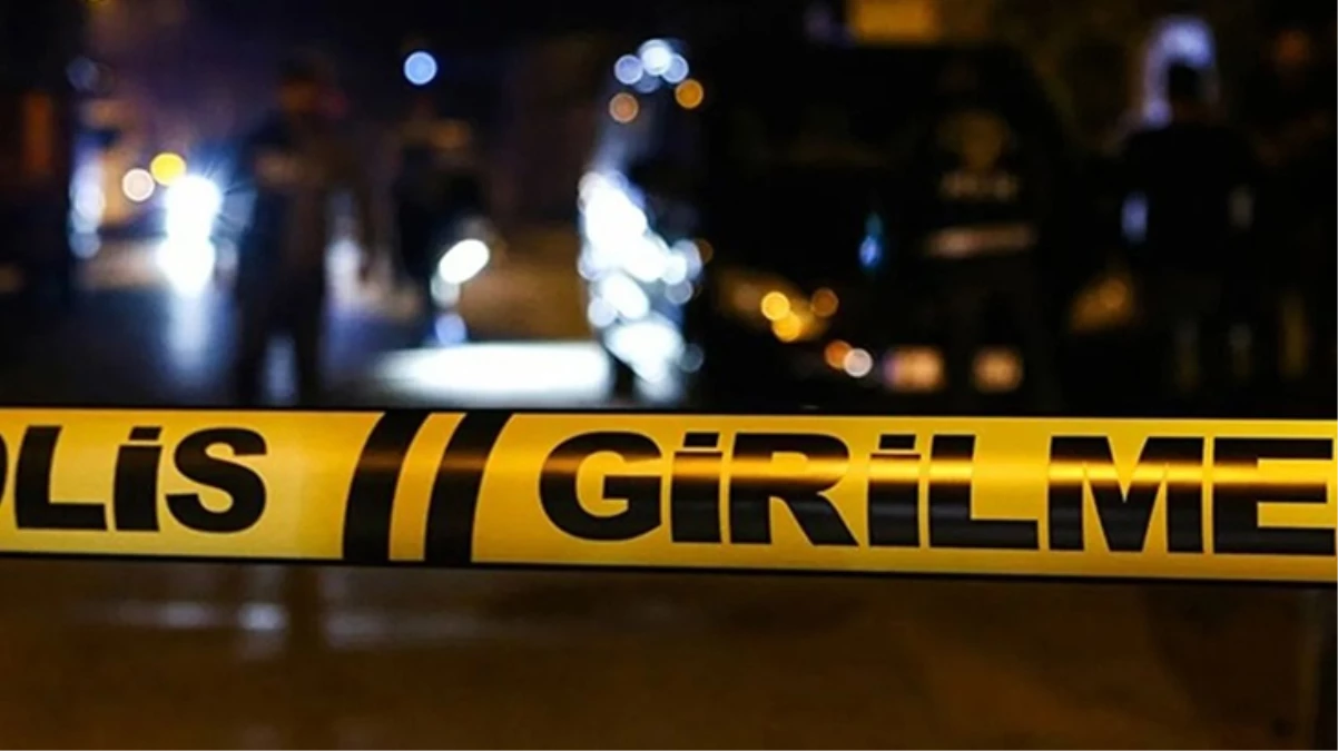 Tapu yüzünden tartıştığı ablasını öldürüp intihar etti