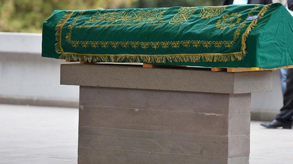 Tek ısırığı 100 kişiyi musalla taşına gönderiyor! Dünyanın en zehirli yılanı ortaya çıktı