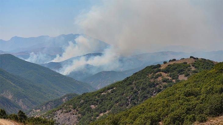 Tunceli'de örtü yangınlarından ikisi kontrol altında