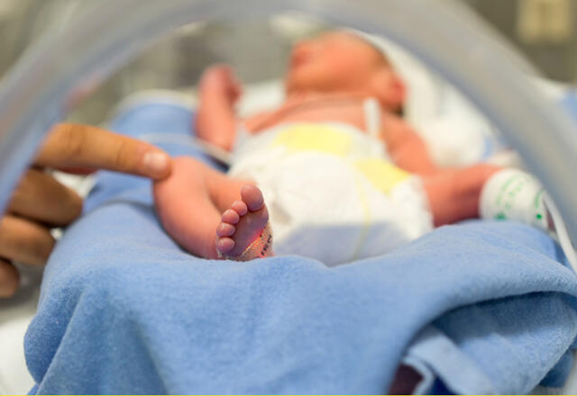 Tüp bebek ve mikroçip tedavisine dair merak edilenler