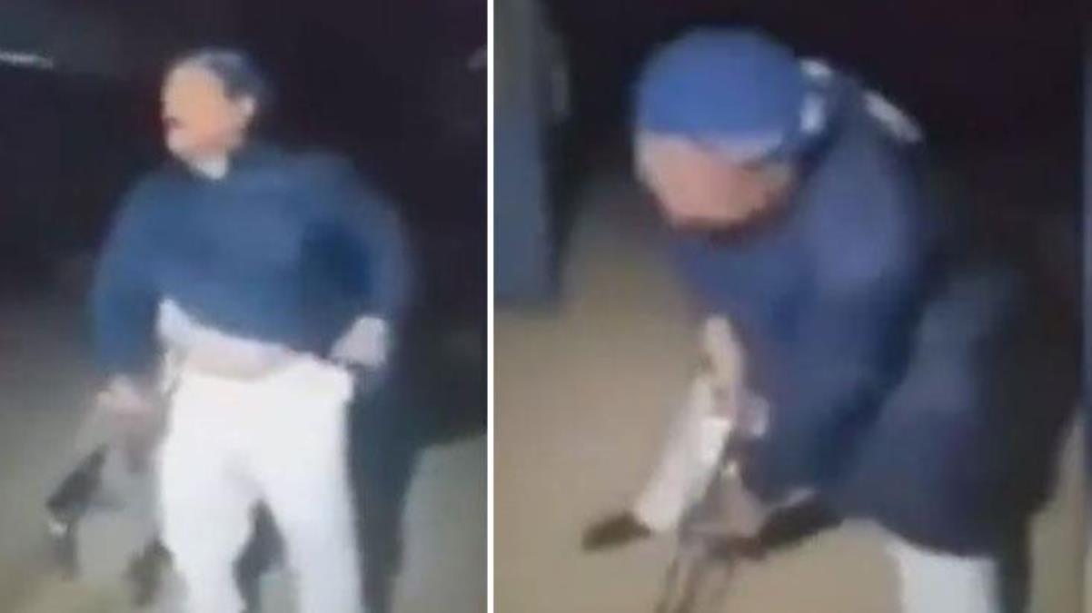 Tüyleri diken diken eden video! 