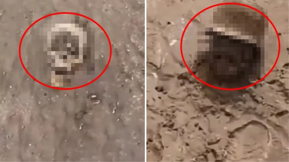 Ukrayna'da selden sonra ortaya çıkan görüntüler ürküttü