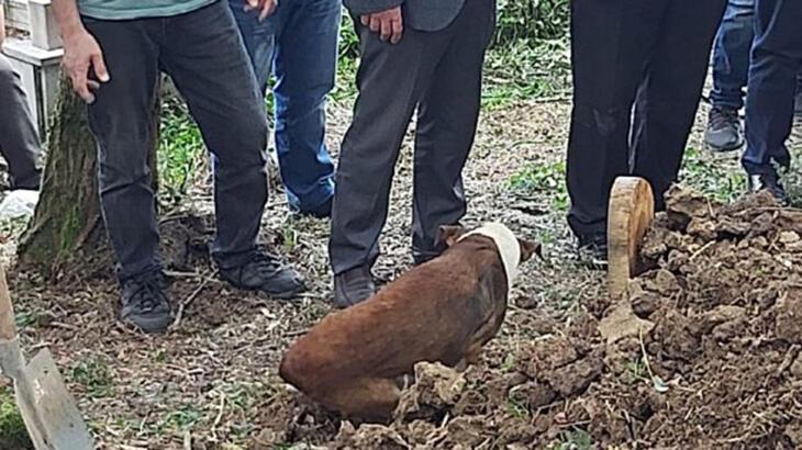 Yürek burkan görüntü! Mezarının başından ayrılmadı